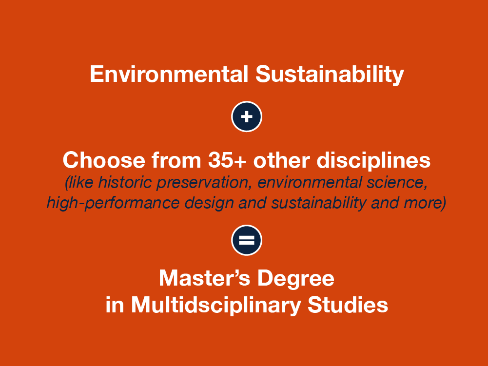 Environmental Sustainability + and Other Disciplines = Master's Degree in Multidisciplinary Studies 