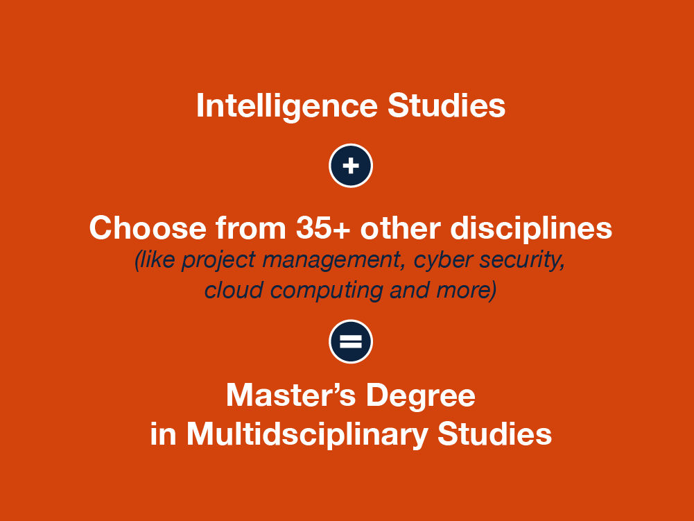 + and Other Disciplines Intelligence Studies = Master's Degree in Multidisciplinary Studies 