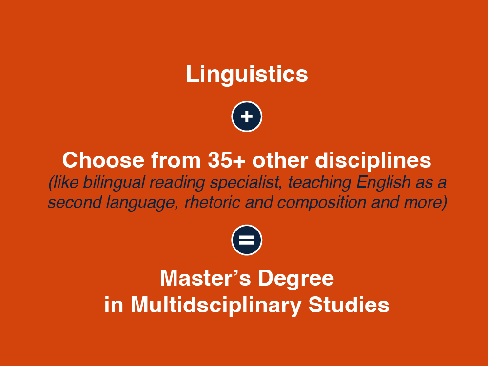 Linguistics + Other Disciplines = Master's Degree in Multidisciplinary Studies
