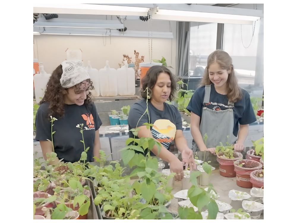 Madeline Morales tending to plants with peers. 