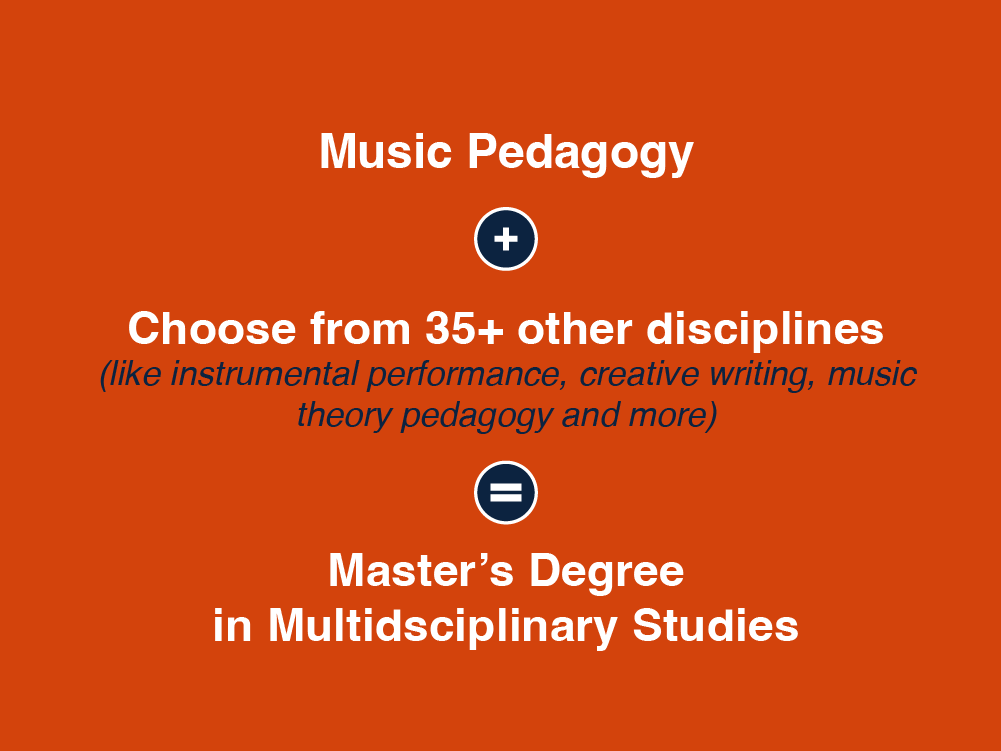 Music Pedagogy - Master's in Multidisciplinary Studies