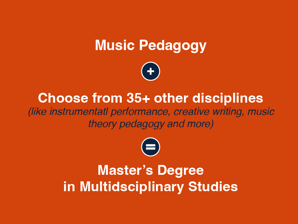 Music Pedagogy + Other Disciplines = Master's Degree in Multidisciplinary Studies