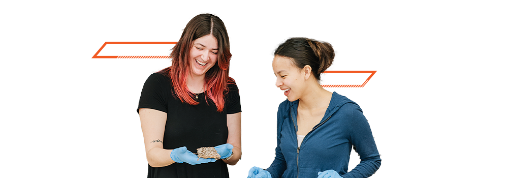 Two graduate students handling a specimen with latex gloves on