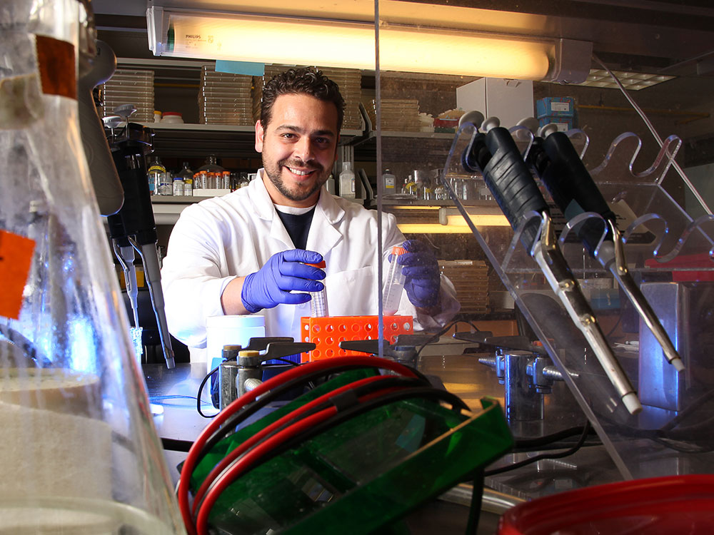 UTSA student working in a lab on regenerative sciences