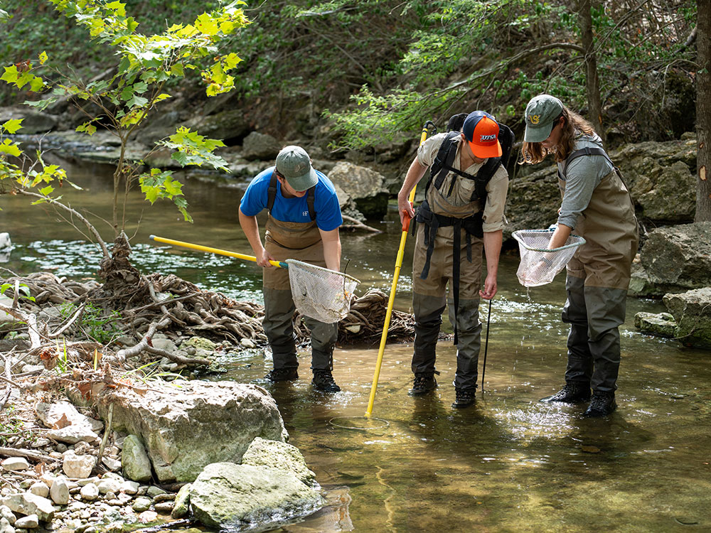 Students conducting freshwater ecology and conservation research at the Cibolo Preserve.