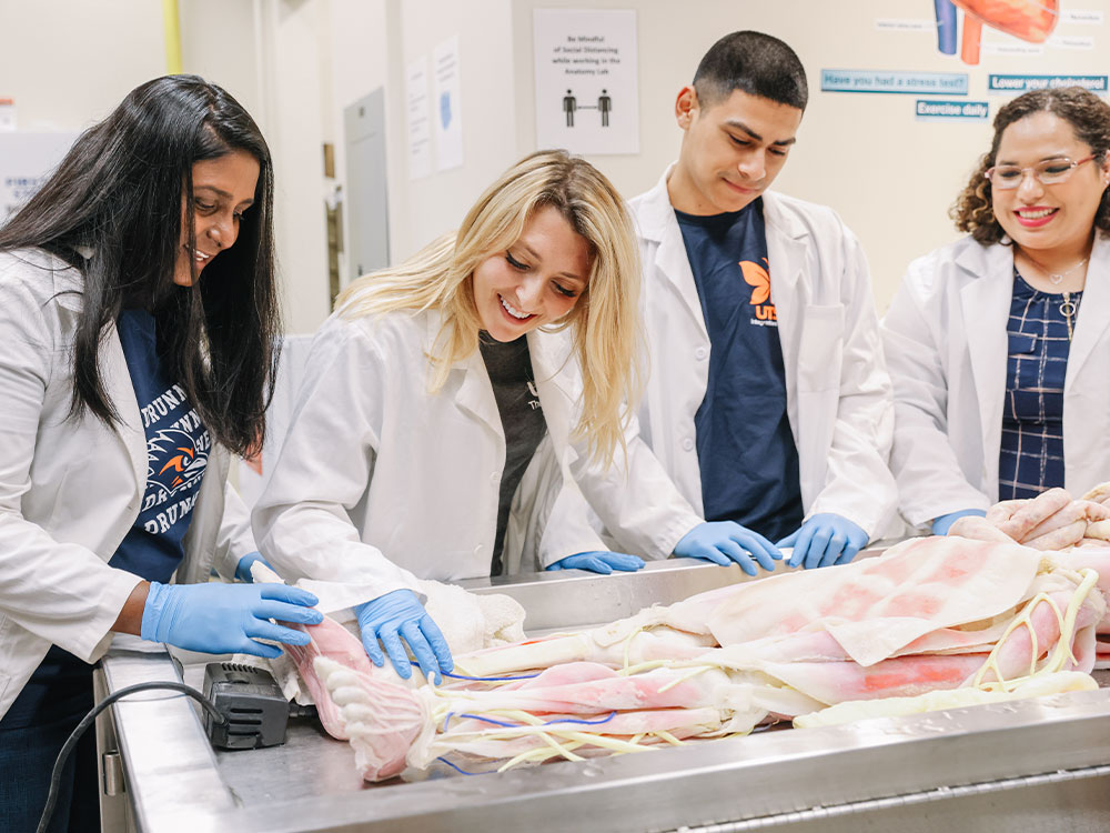 Students are working with anatomy models like synthetic cadavers and respiratory lungs.
