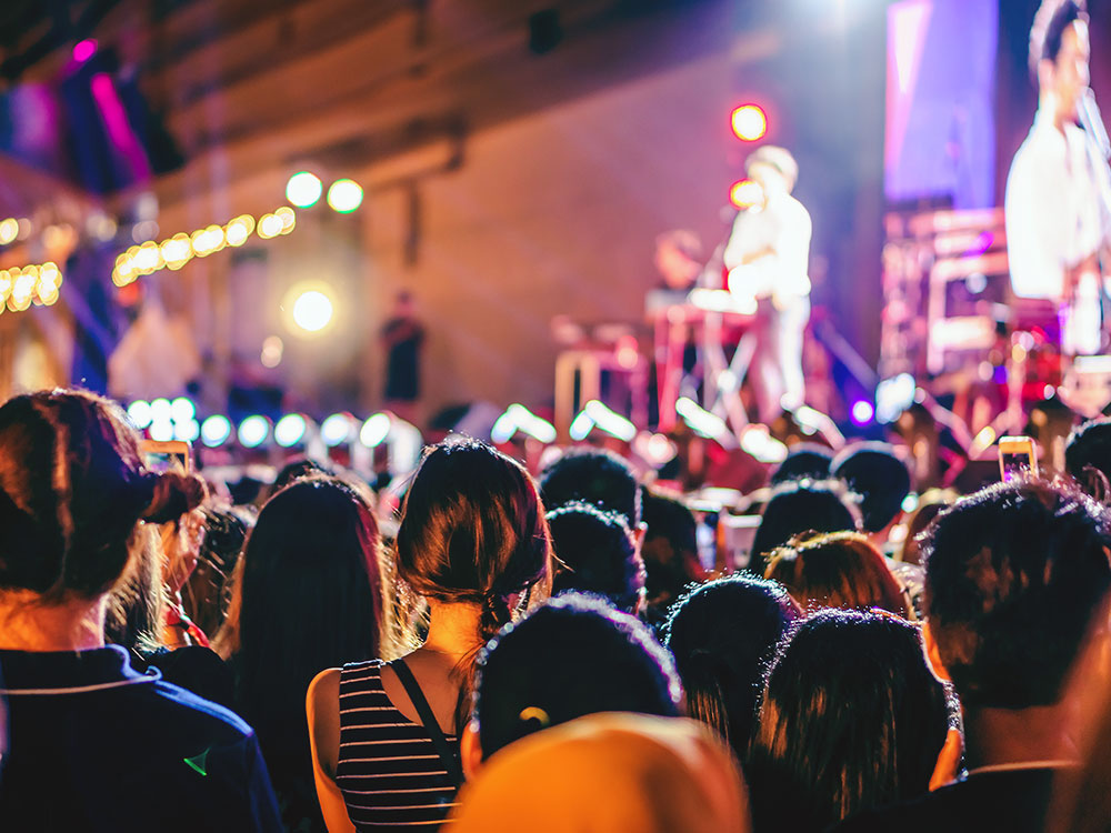 concert crowd