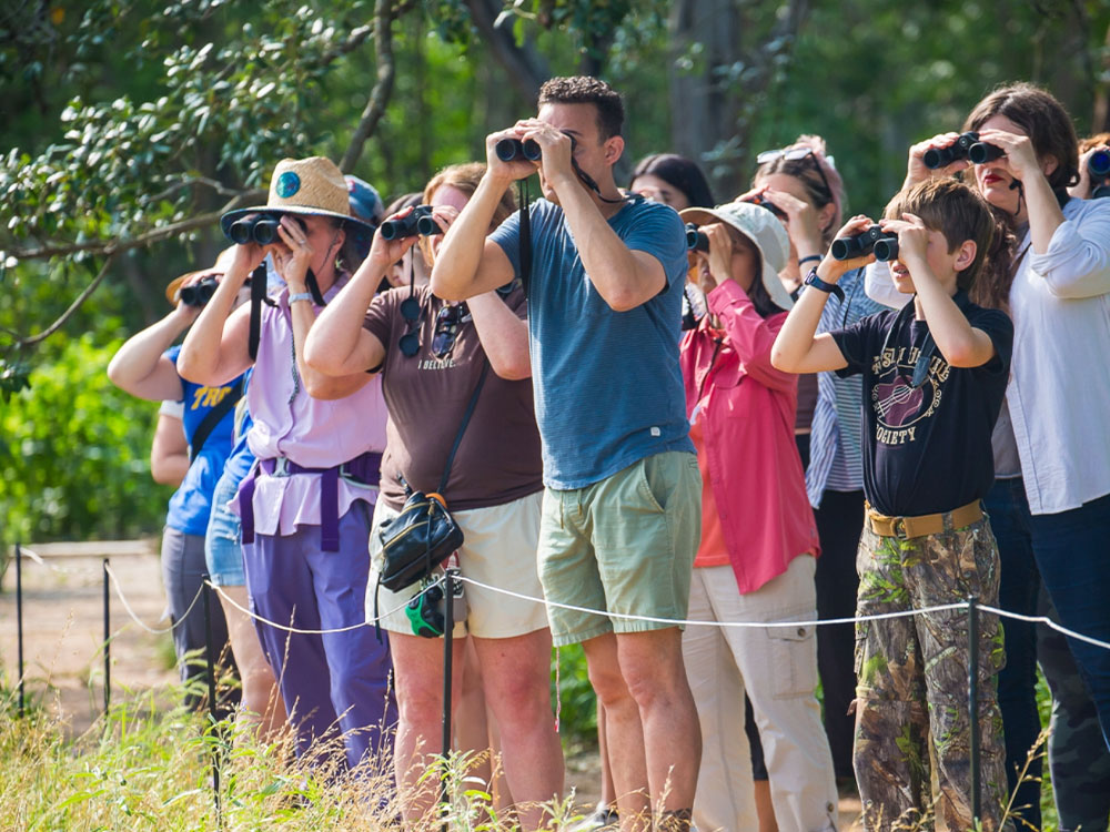 A group of people bird watching with binoculars.